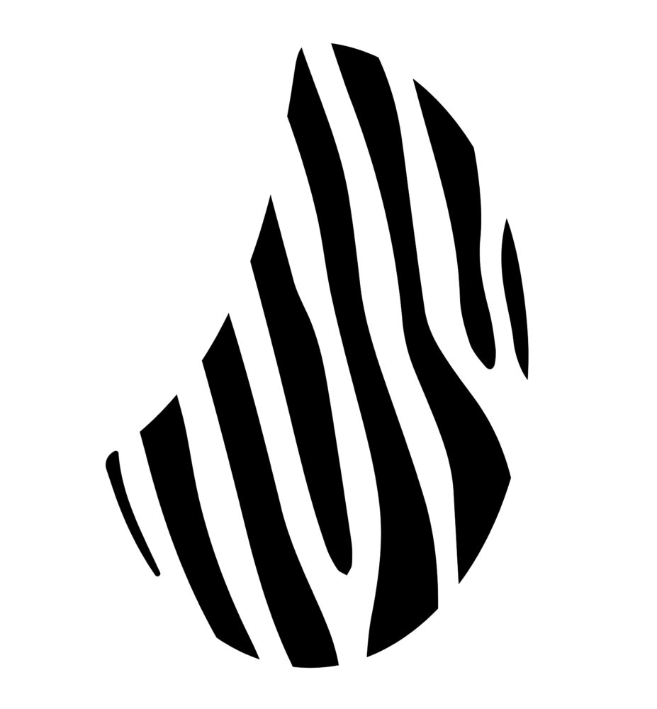 Zenani logo