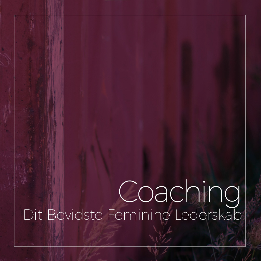 Coaching i dit bevidste feminine lederskab